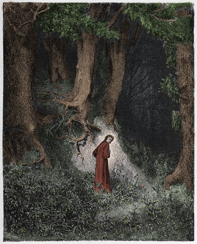 Infierno, canto 1: Dante en el bosque salvaje, ilustración de «La Divina Comedia» de Dante Alighieri, 1885 de Gustave Dore