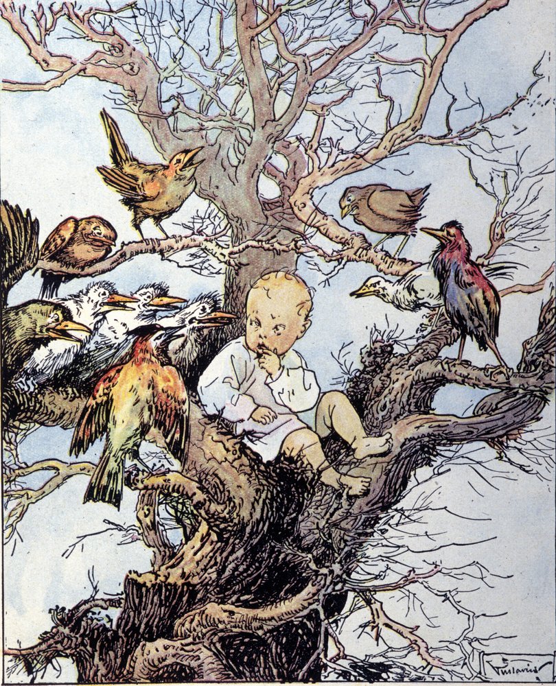 Ilustración para 