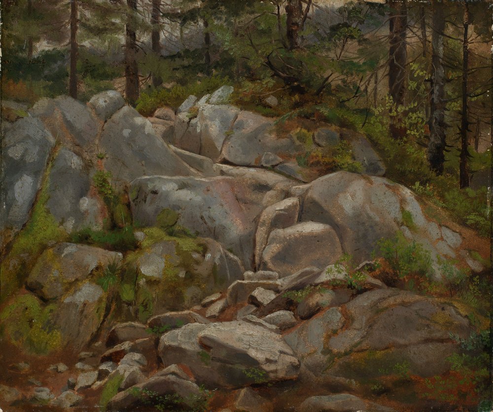 Bloques de roca con troncos de abeto de Hans Thoma