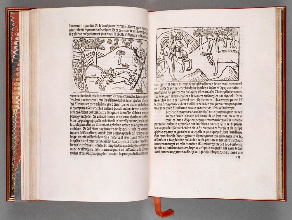 Libro del Rey Modus y de la Reina Ratio de Henry de Ferrières
