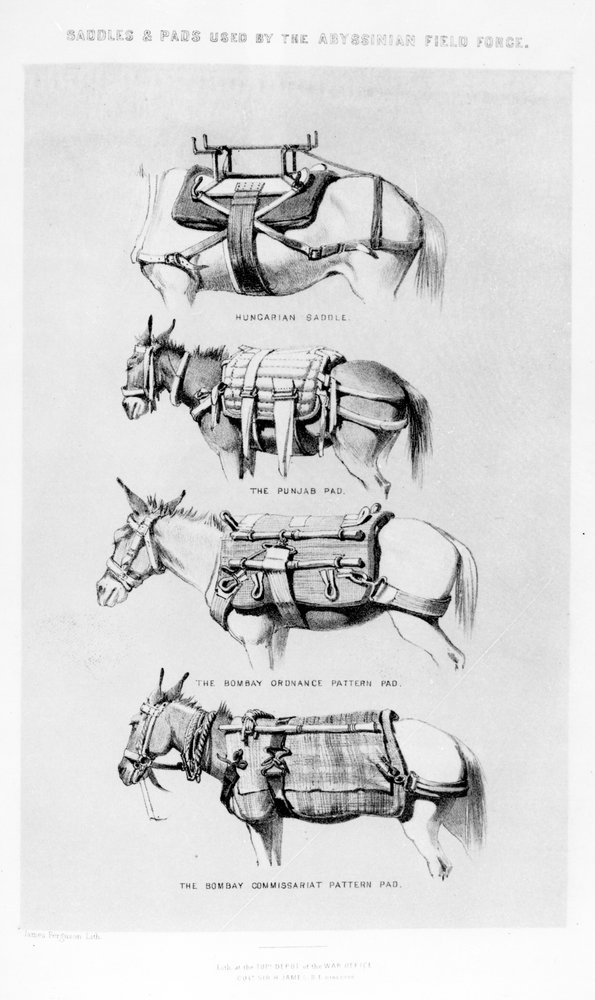 Sillas y almohadillas usadas por la Fuerza de Campo Abisinia de Henry James
