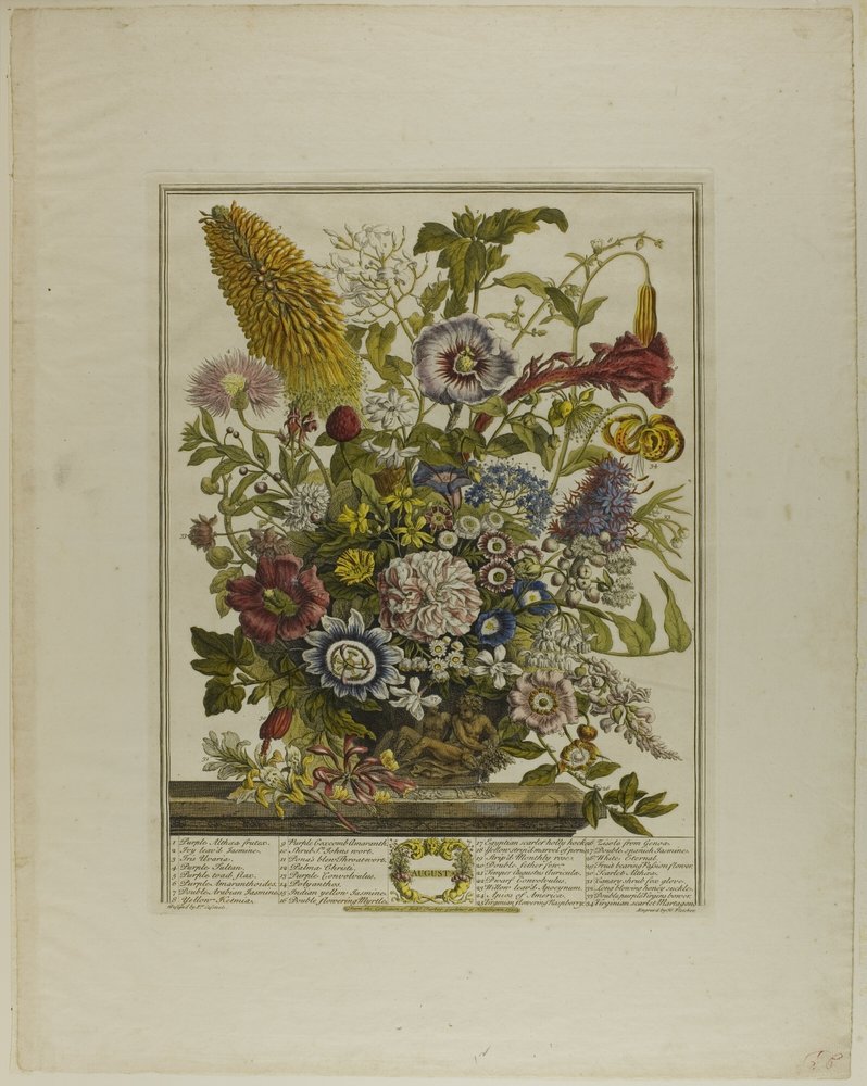 Agosto, de Doce Meses de Flores de Henry Fletcher