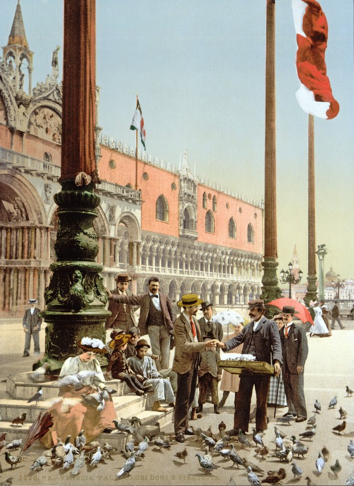 Alimentando a las palomas en la Plaza de San Marcos, Venecia, c.1900 de Italian Photographer