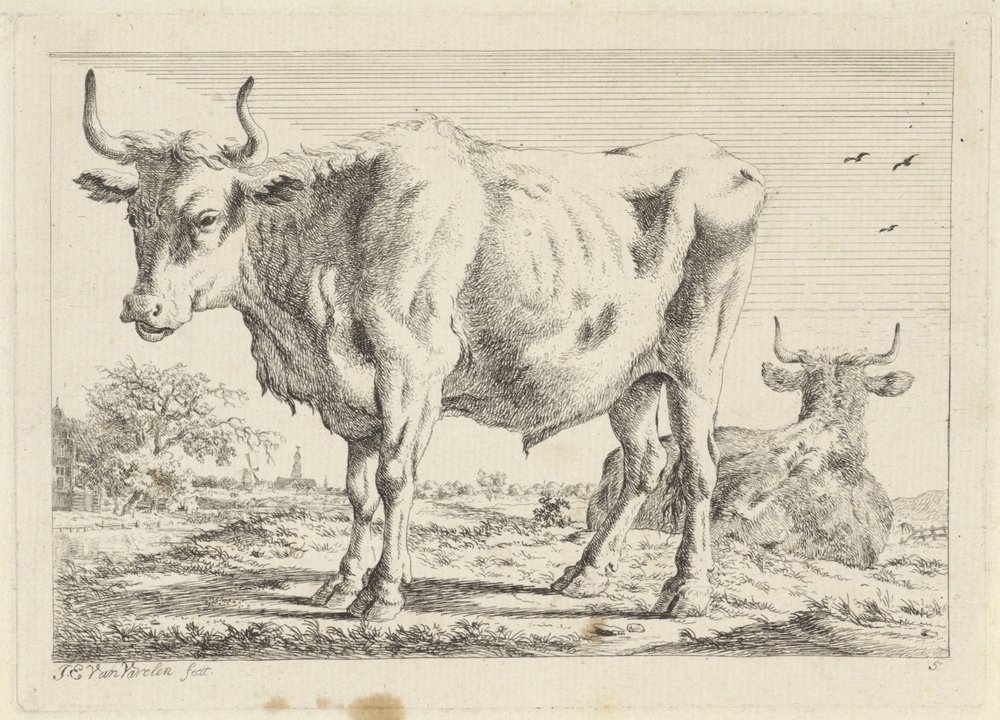 Buey de pie y acostado Seis grabados a partir de dibujos de varios maestros (título de la serie) de Jacob Elias van Varelen