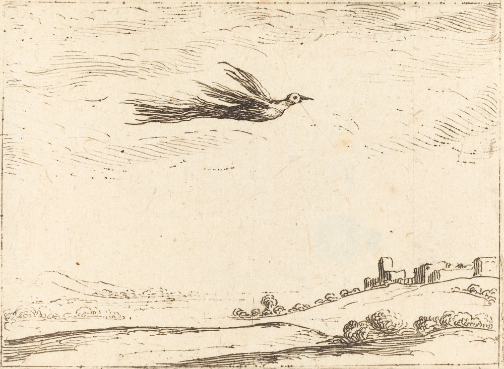 Ave del paraíso de Jacques Callot
