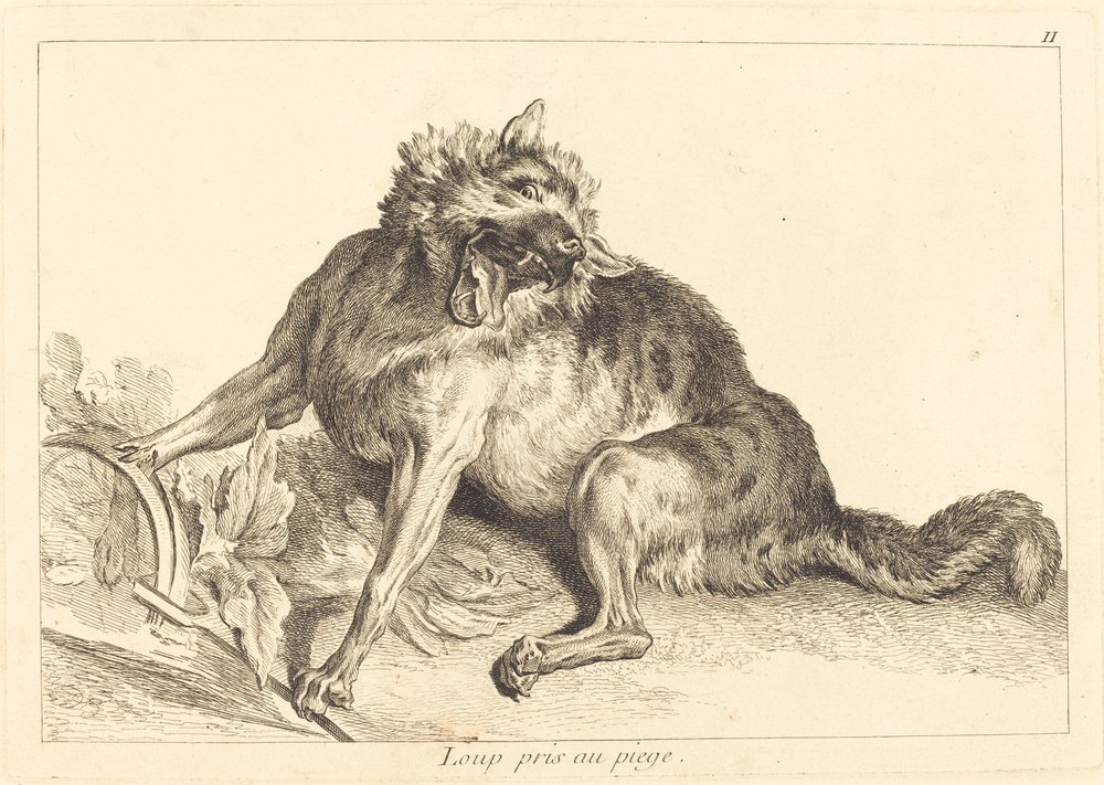 Lobo atrapado en una trampa de Jacques Philippe Le Bas and Jean Eric Rehn after Jean Baptiste Oudry