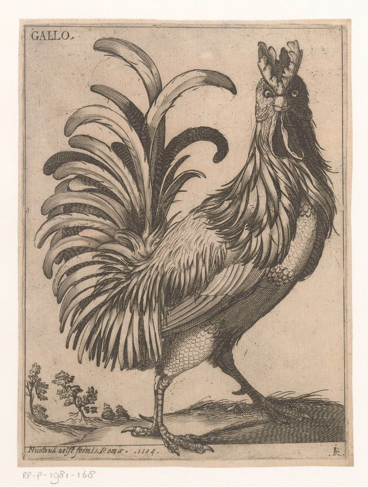 gallo Gallo (título sobre objeto) Nine Birds (título de la serie) de Jacques de Fornazeris