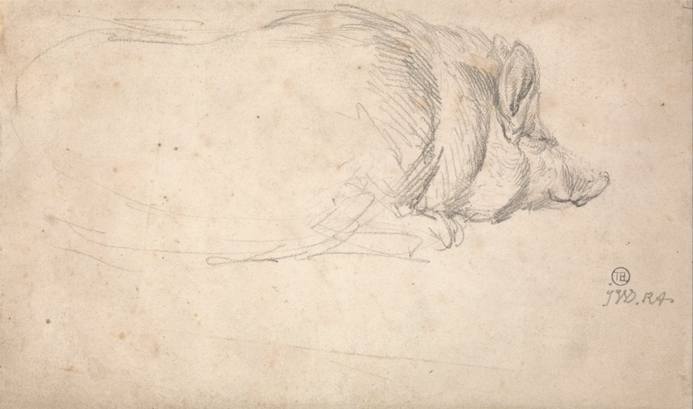 Un cerdo durmiendo de James Ward