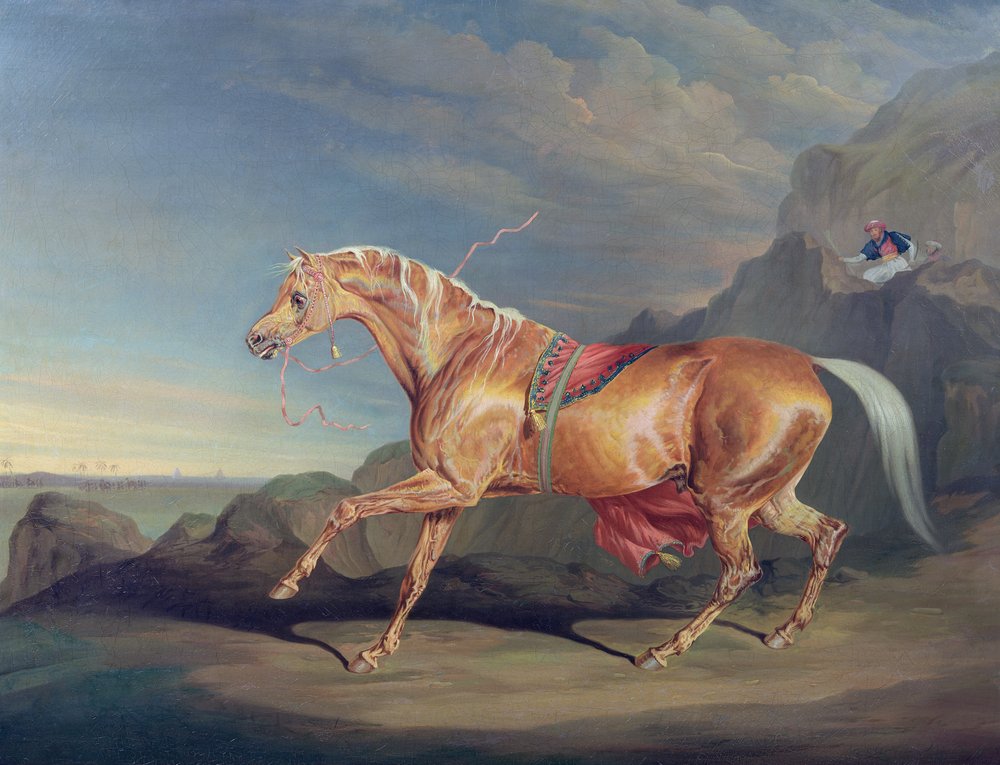 El árabe de Mr. Alfred Bonar, Dare Devil de James Ward