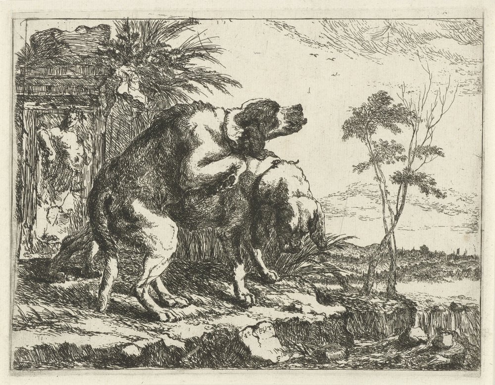 Dos perros apareándose de Jan Fyt