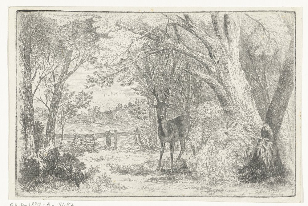 Parque paisaje con ciervos de Jan Bos Wz.