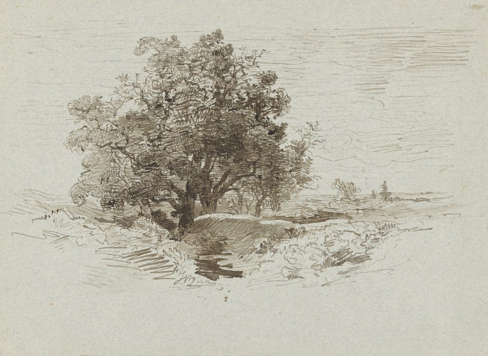 Grupo de Robles cerca de Wolfheze, Países Bajos de Johannes Warnardus Bilders