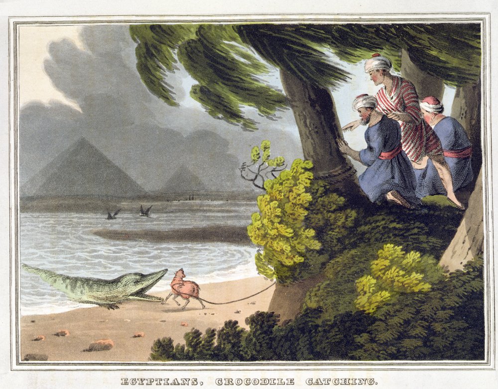 Egipcios atrapando cocodrilos, grabado por Matthew Dubourg (fl.1785-1820), publicado por Edward Orme de John Heaviside (after) Clark