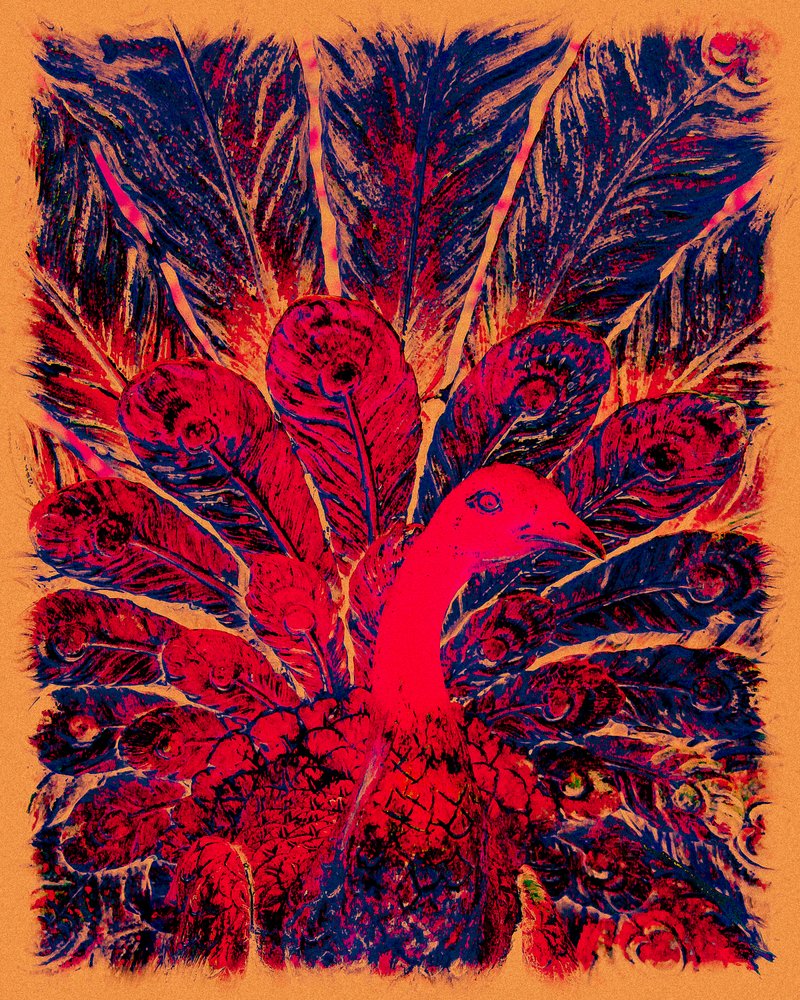 El pavo real dorado de Bahaullah, 2016 de Joy Lions
