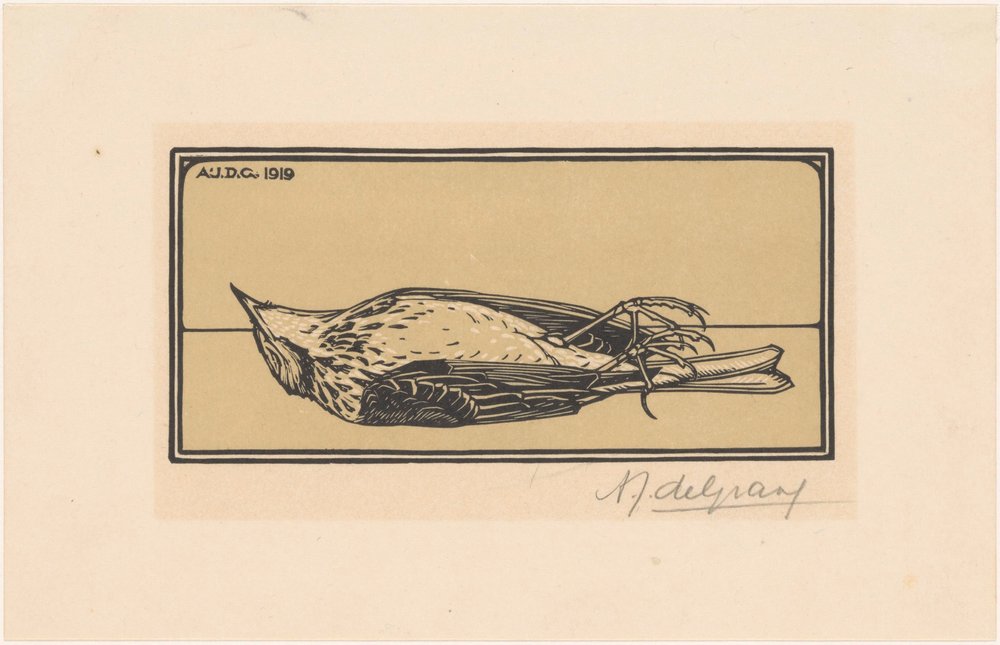 Pájaro muerto de Julie de Graag (signed by artist)