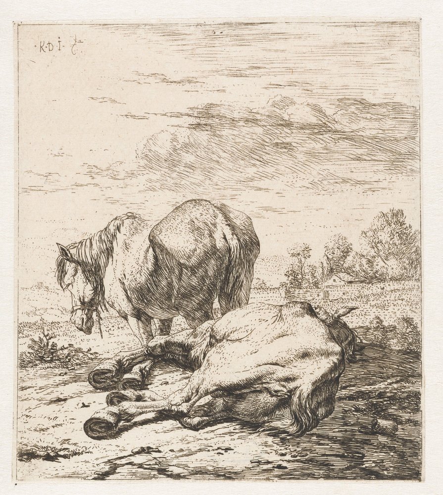 Dos caballos Animales (título de la serie) de Karel Du Jardin