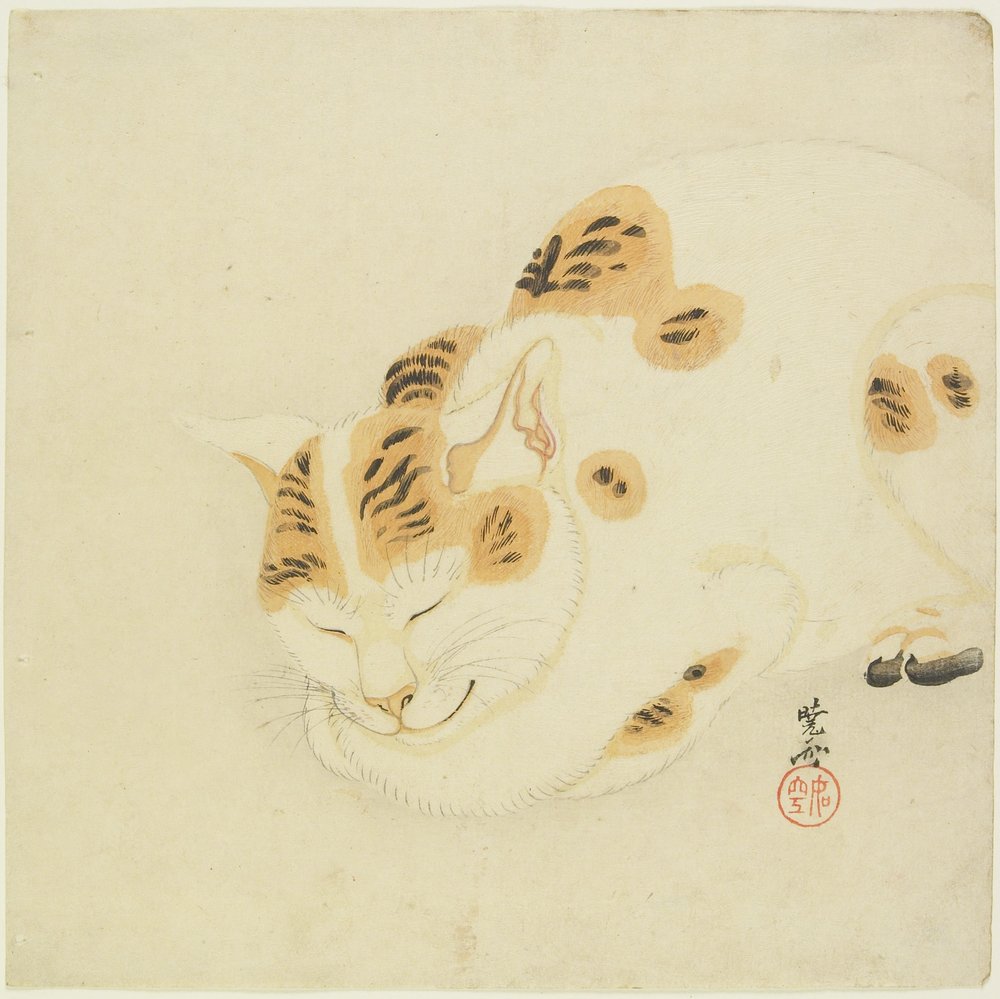 Gato durmiendo de Kawanabe Kyosai