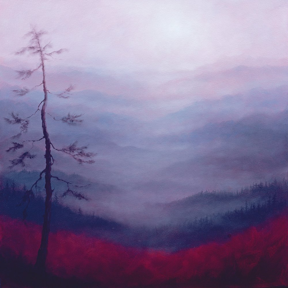 Rosa alpina, 2007 de Lee Campbell