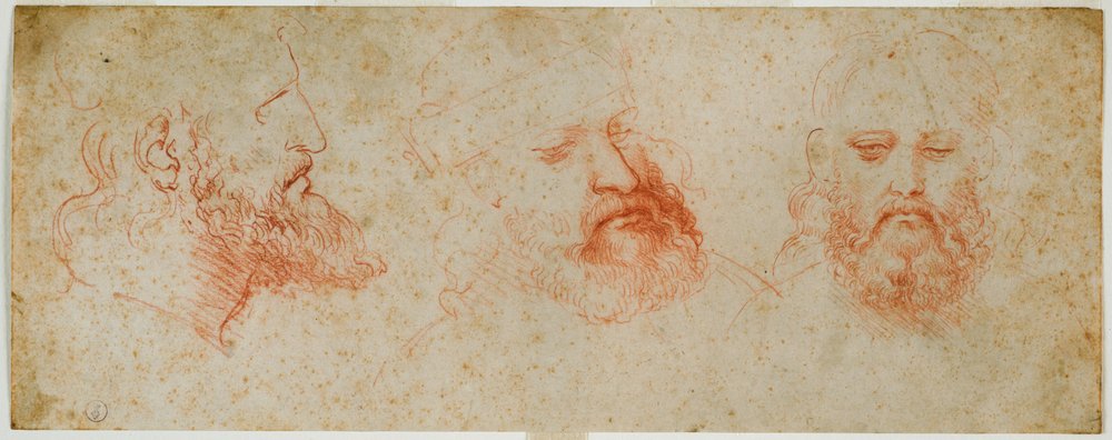 Tres vistas de cabeza masculina con barba de Leonardo da Vinci