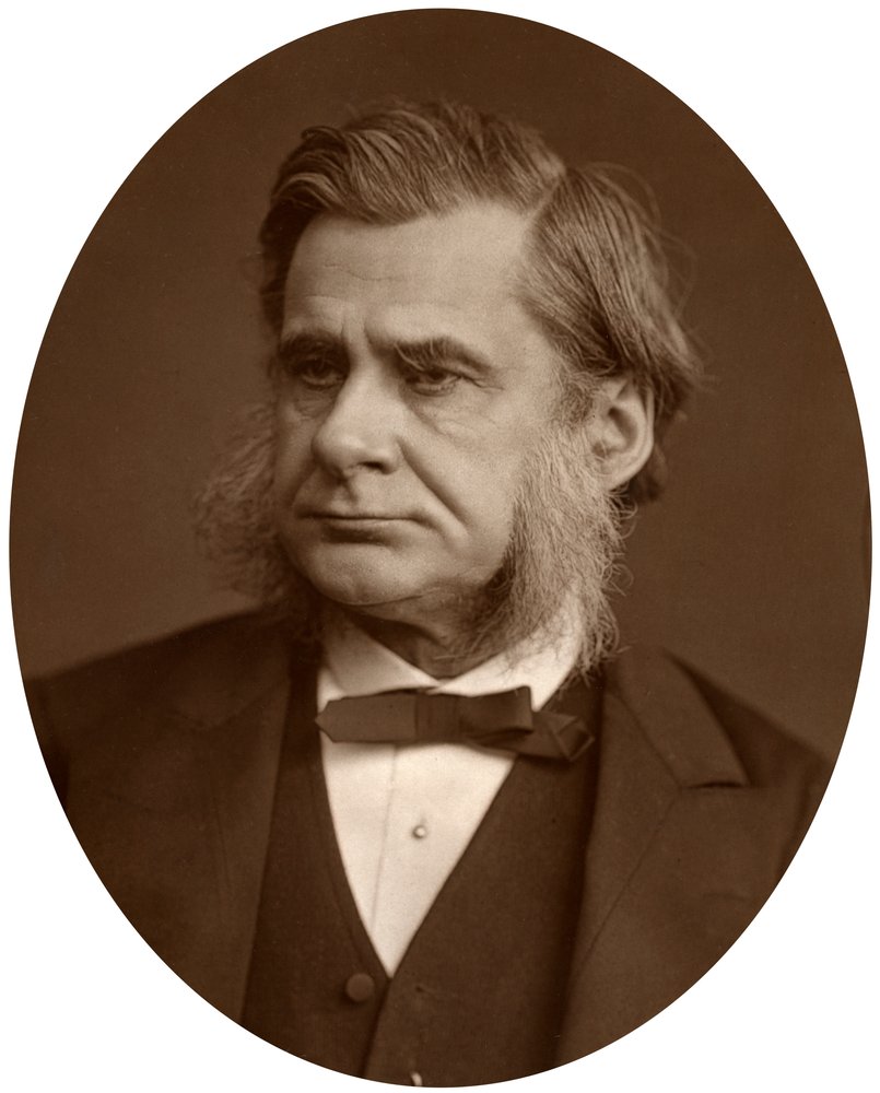 Profesor Thomas Henry Huxley, 1880 | Lock and Whitfield