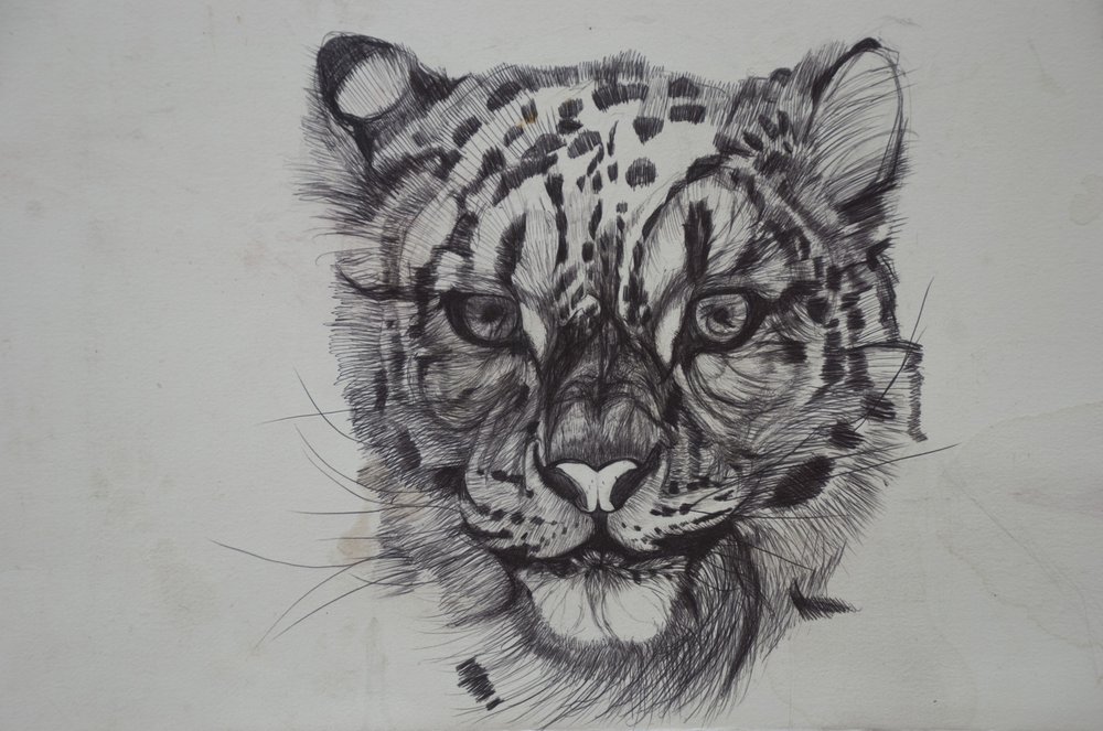 Leopardo de las nieves de Lou Gibbs