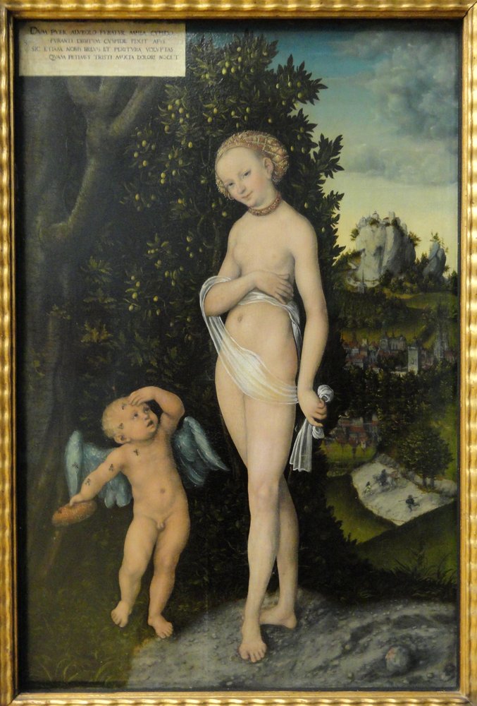 Venus y Cupido, el ladrón de miel de Lucas Cranach the Elder