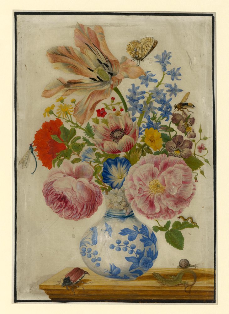 Jarrón chino con rosas, amapolas y claveles de Maria Sibylla Merian