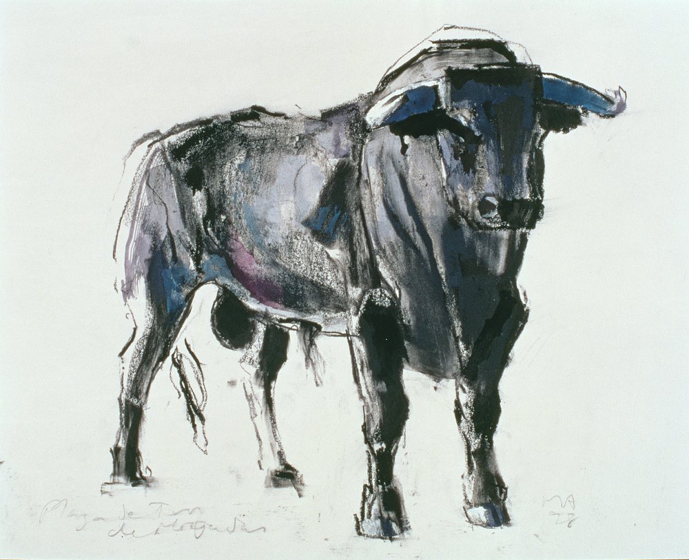 Plaza de Toros de Miajadas, 1998 de Mark Adlington