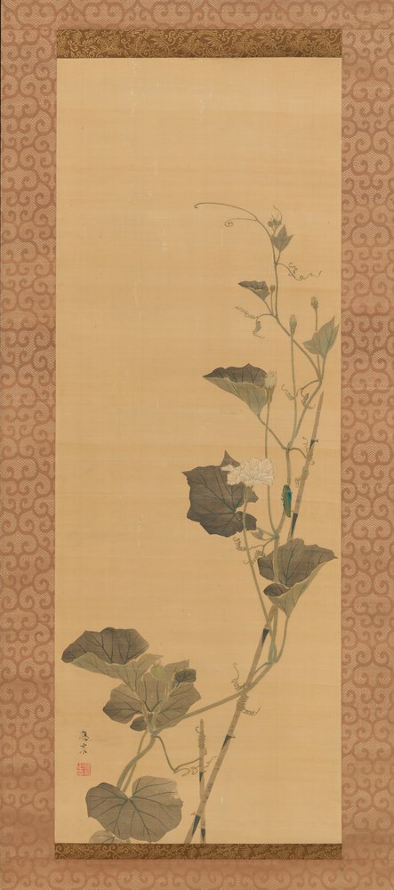 Flores de calabaza y escarabajo, principios del siglo XIX de Maruyama Ôshin