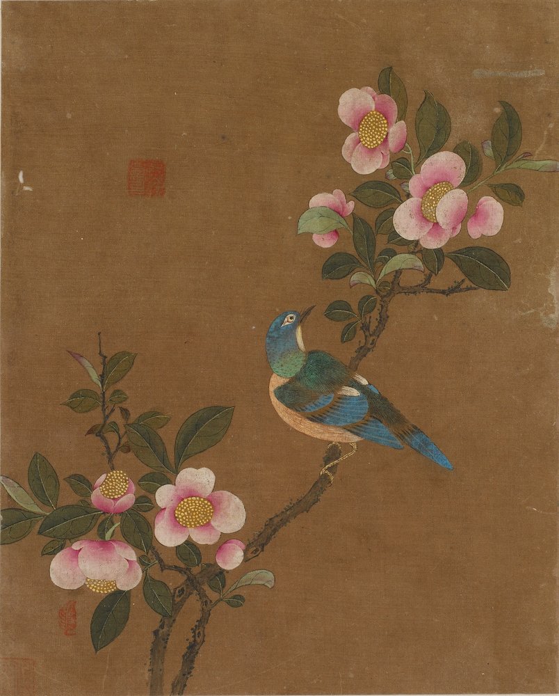 Diez imágenes de aves y flores de Ming Dynasty Chinese School