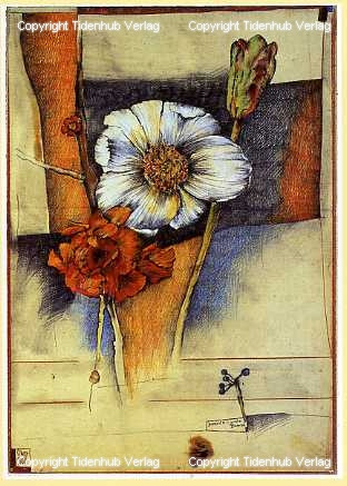 ...otra vez flores de Ole West