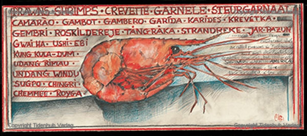 Gambas de Ole West