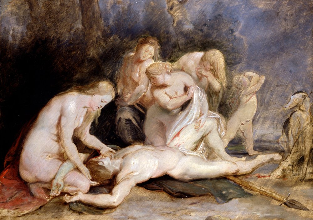 Venus llorando a Adonis de Peter Paul Rubens