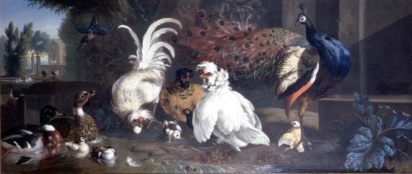 Un pavo real, gallinas, patos y un martín pescador de Pieter Casteels