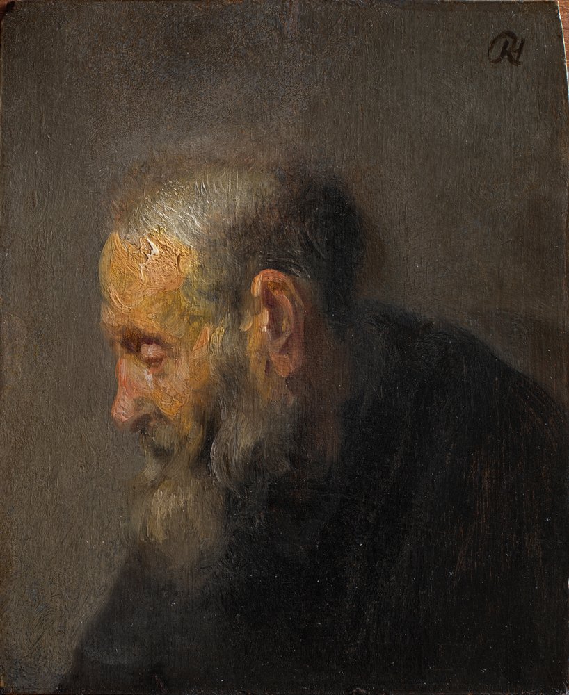Estudio de un anciano de perfil de Rembrandt van Rijn
