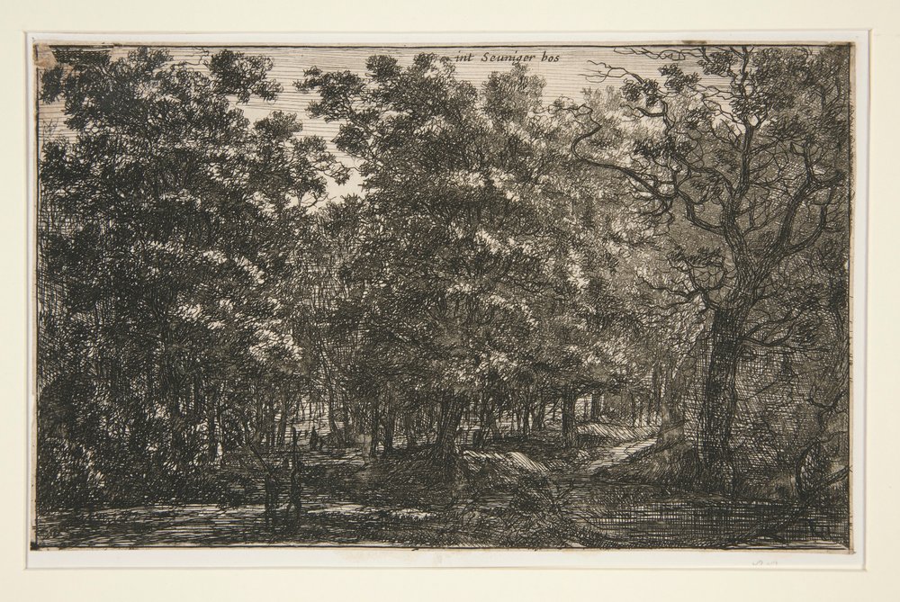 Int. Seuniger Bos de Roelant Roghman