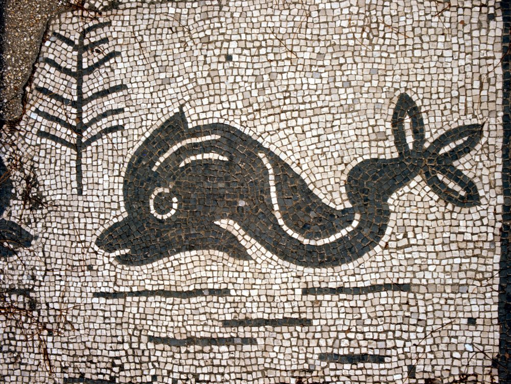 Representación de un delfín después de un mosaico en la plaza de las Corporaciones de Ostia antica de Roman