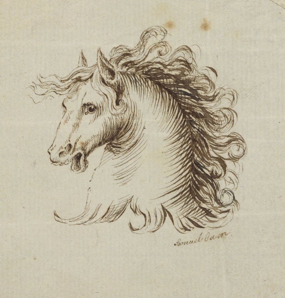 Cabeza de un caballo de Samuel H. Owen
