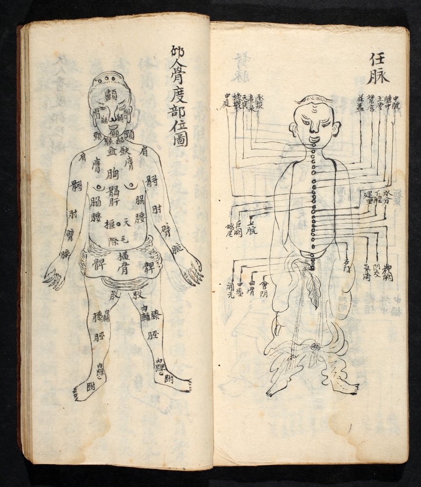 Puntos de acupuntura a lo largo de la línea central del cuerpo, de Jing Guan Qi Zhi, «Los comienzos y finales de los puntos y canales de acupuntura», publicado en el sur de China, a comienzos del siglo XVIII de School Chinese