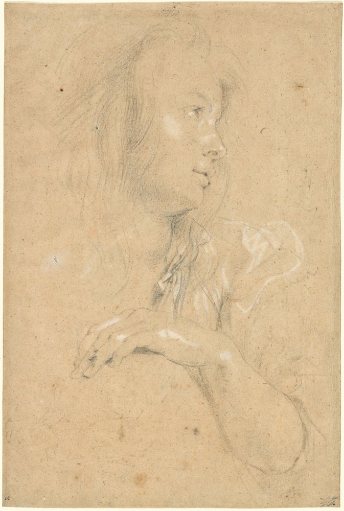Joven Mujer de Perfil de Sir Peter Paul Rubens