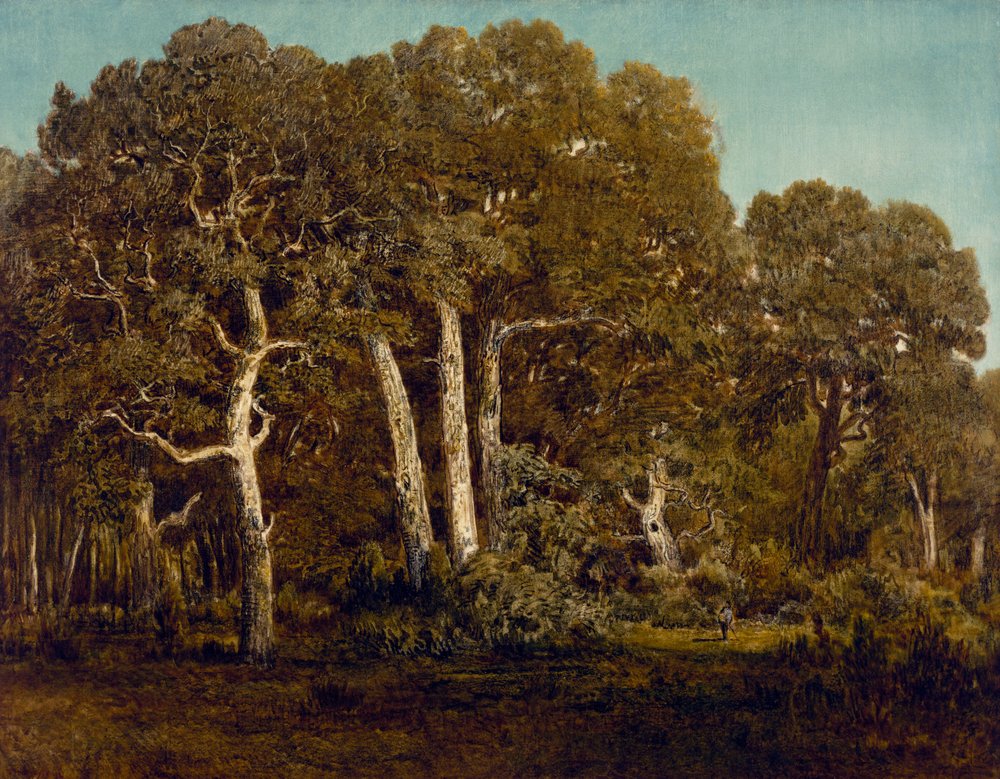 Los grandes robles del viejo Bas-Bréau, 1864 de Pierre Etienne Theodore Rousseau