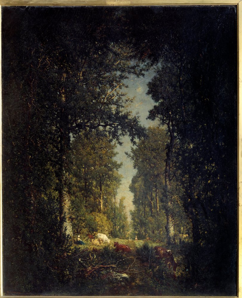 Una avenida, bosque de L