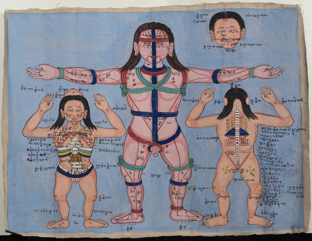 Gráfico anatómico de Tibetan School