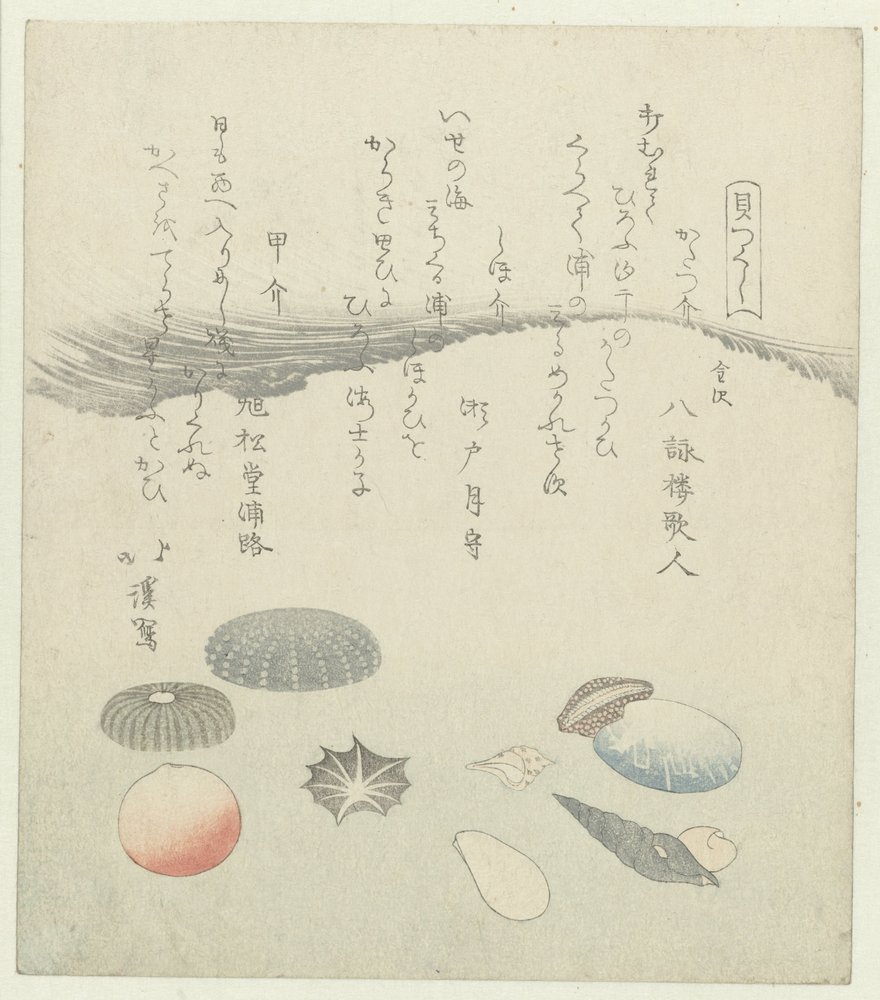 Concha redonda roja y azul con conchas más pequeñas. Una serie de conchas (título de la serie) Kaatsukushi (título de la serie sobre el objeto) de Totoya Hokkei