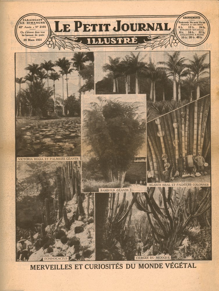 Maravillas y curiosidades del mundo vegetal, 1931 de Unbekannt
