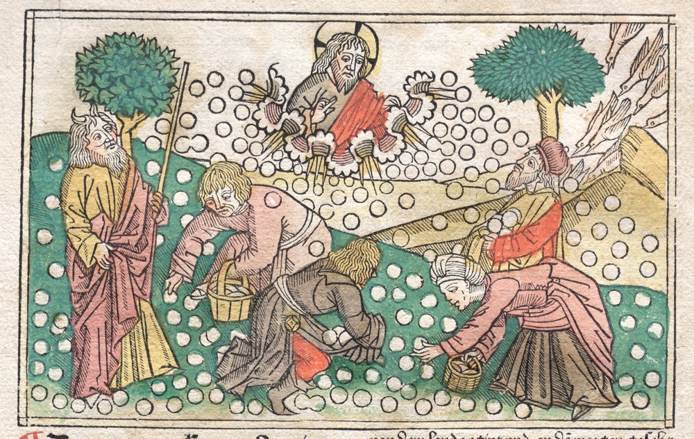 Biblia de Núremberg: Maná cayendo del cielo, 1400s de Unbekannt