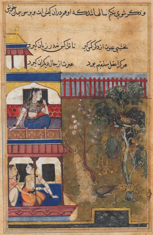 Página de Cuentos de un Loro Tuti-nama: Trigésima novena noche: La reina de Rum..., c. 1560 de Unbekannt