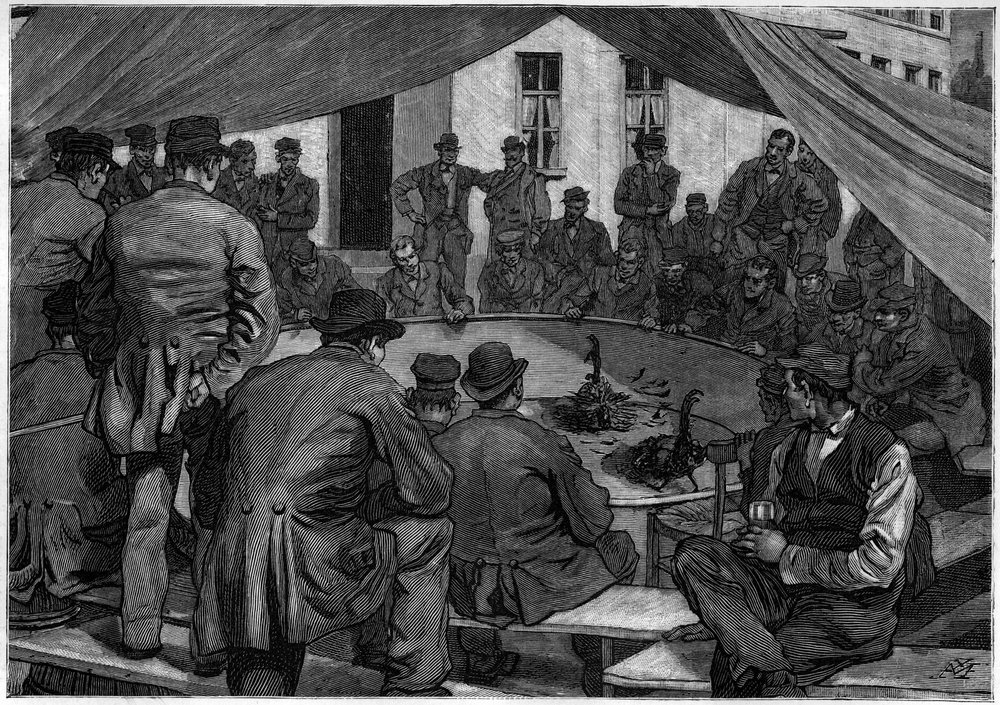 Pelea de gallos en Bélgica en 1888 en «Le Journal de la Jeunesse» de 1888. de Unknown artist