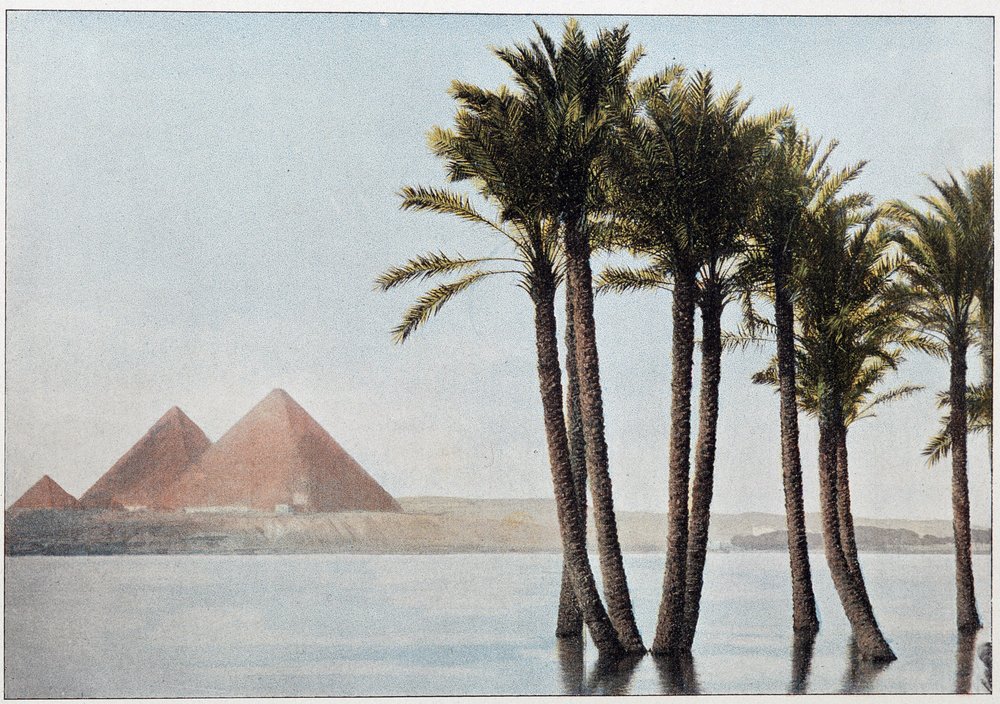 Egipto: la inundación del Nilo y las pirámides de Giza (Guizeh, Guiseh, Giza). de Unknown artist