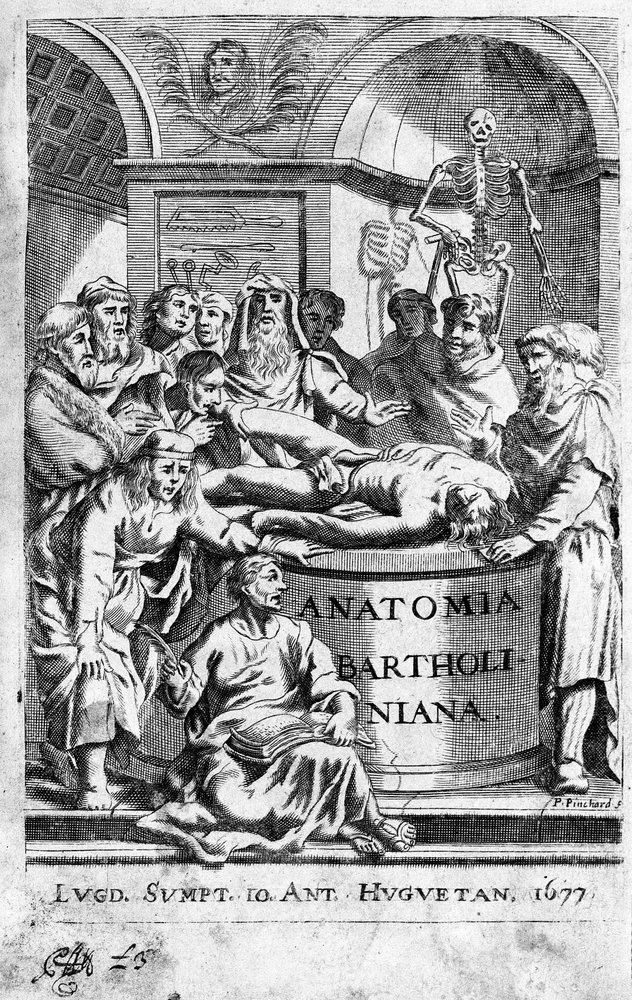 Una lección de anatomía. Frontispicio tomado de 